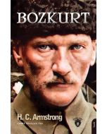 Bozkurt