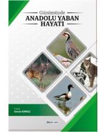 Günümüzde Anadolu Yaban Hayatı