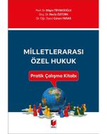 Milletlerarası Özel Hukuk Pratik Çalışma Kitabı
