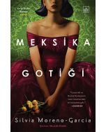 Meksika Gotiği