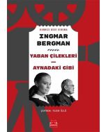 Yaban Çilekleri - Aynadaki Gibi