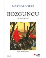 Bozguncu