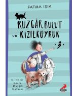 Rüzgar, Bulut ve Kızılkuyruk 3