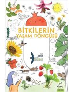 Bitkilerin Yaşam Döngüsü