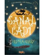 Uçan Süpürge Serisi 2 - Sanal Cadı