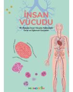 İnsan Vücudu