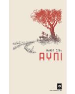 Aynı