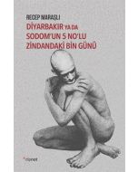 Diyarbakır ya da Sodom’un 5 No’lu Zindandaki Bin Günü