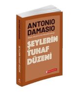 Şeylerin Tuhaf Düzeni
