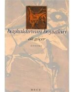 Başkaldırının Boyutları