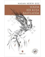 Yolda Bir Kuşa Rastladım