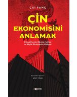 Çin Ekonomisini Anlamak