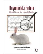 Beynimdeki Fırtına