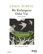 Bir Kırlangıcın Daha Var