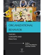 Organizational Behavior: Theory, Concepts and Practice