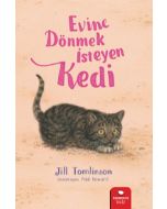 Evine Dönmek İsteyen Kedi