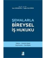 Şemalarla Bireysel İş Hukuku