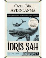 Özel Bir Aydınlanma