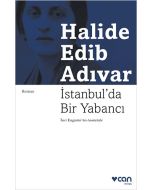 İstanbul'da Bir Yabancı