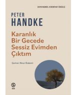 Karanlık Bir Gecede Sessiz Evimden Çıktım