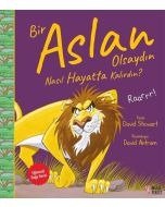 Bir Aslan Olsaydın Nasıl Hayatta Kalırdın?