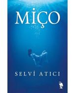 Miço
