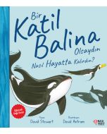 Bir Katil Balina Olsaydın Nasıl Hayatta Kalırdın?