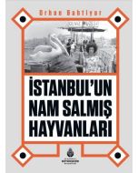 İstanbul’un Nam Salmış Hayvanları