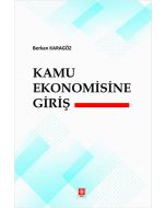 Kamu Ekonomisine Giriş