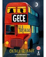 Gece Yolcusu