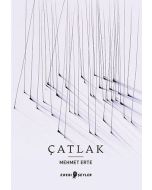 Çatlak