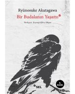 Bir Budalanın Yaşamı
