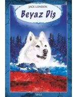 Beyaz Diş