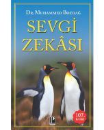 Sevgi Zekası