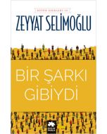 Bir Şarkı Gibiydi