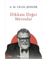 Dikkate Değer Mevzular