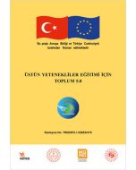 Üstün Yetenekliler Eğitimi İçin Toplum 5.0