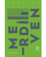 Wittgenstein’ın Merdiveni