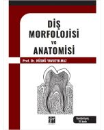 Diş Morfolojisi ve Anatomisi