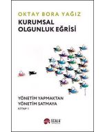 Kurumsal Olgunluk Eğrisi