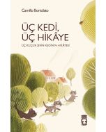 Üç Kedi Üç Hikaye