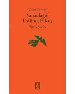 Yanardağın Üstündeki Kuş