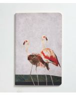 Nesin Defter - Flamingo