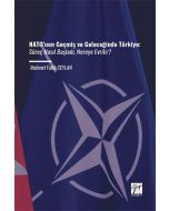 NATO’nun Geçmiş ve Geleceğinde Türkiye - Süreç Nasıl Başladı Nereye Evrilir?