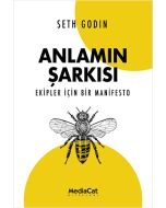 Anlamın Şarkısı