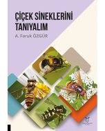 Çiçek Sineklerini Tanıyalım