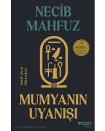 Mumyanın Uyanışı
