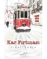 Kar Fırtınası