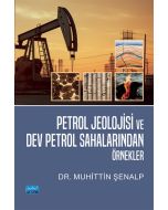 Petrol Jeolojisi ve Dev Petrol Sahalarından Örnekler
