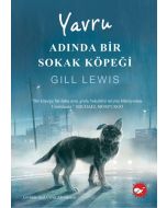 Yavru Adında Bir Sokak Köpeği
